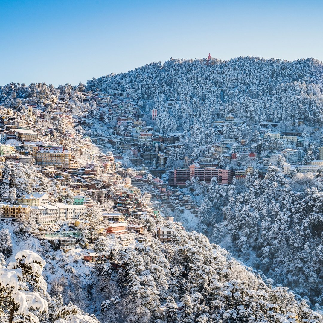 Shimla
