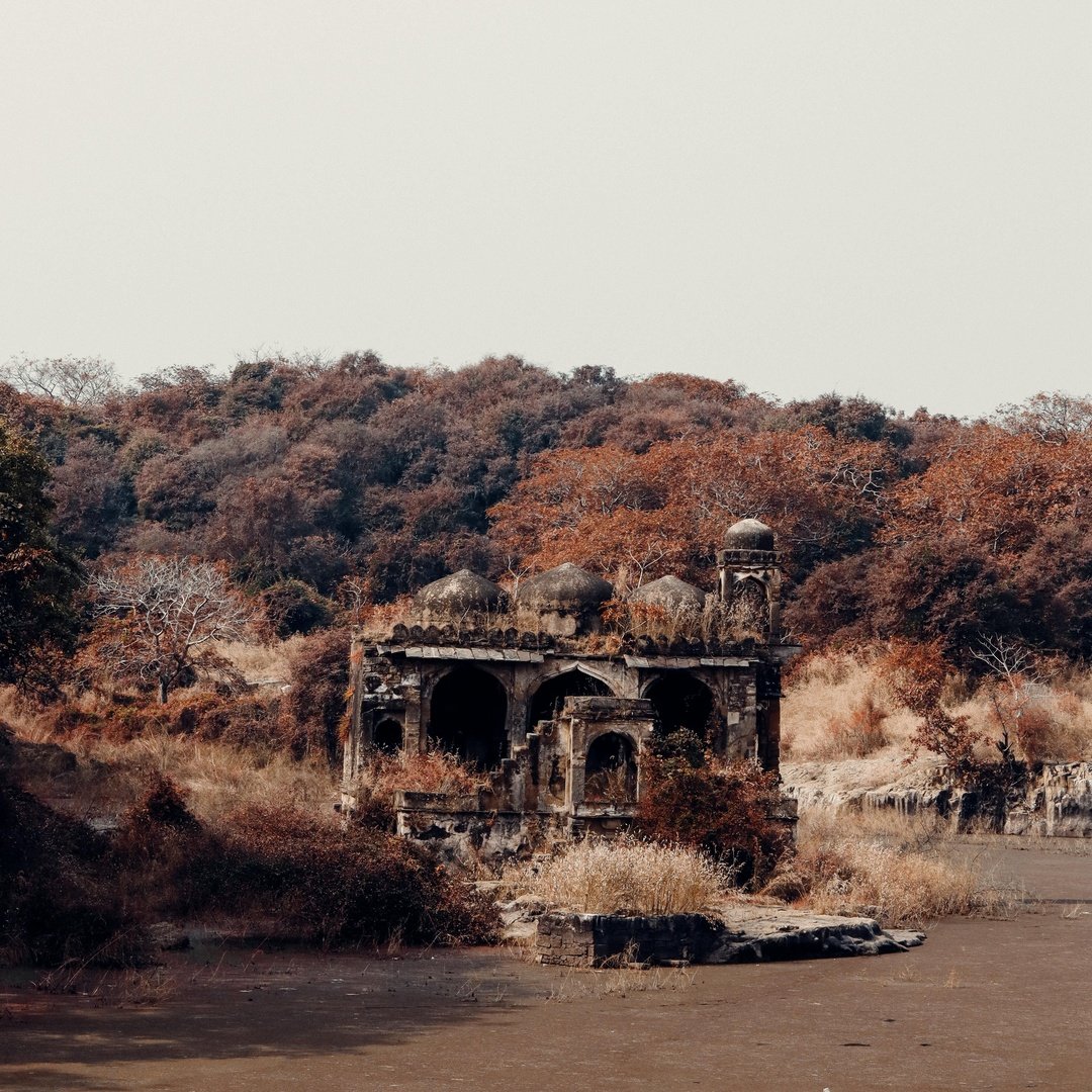 Ranthambore