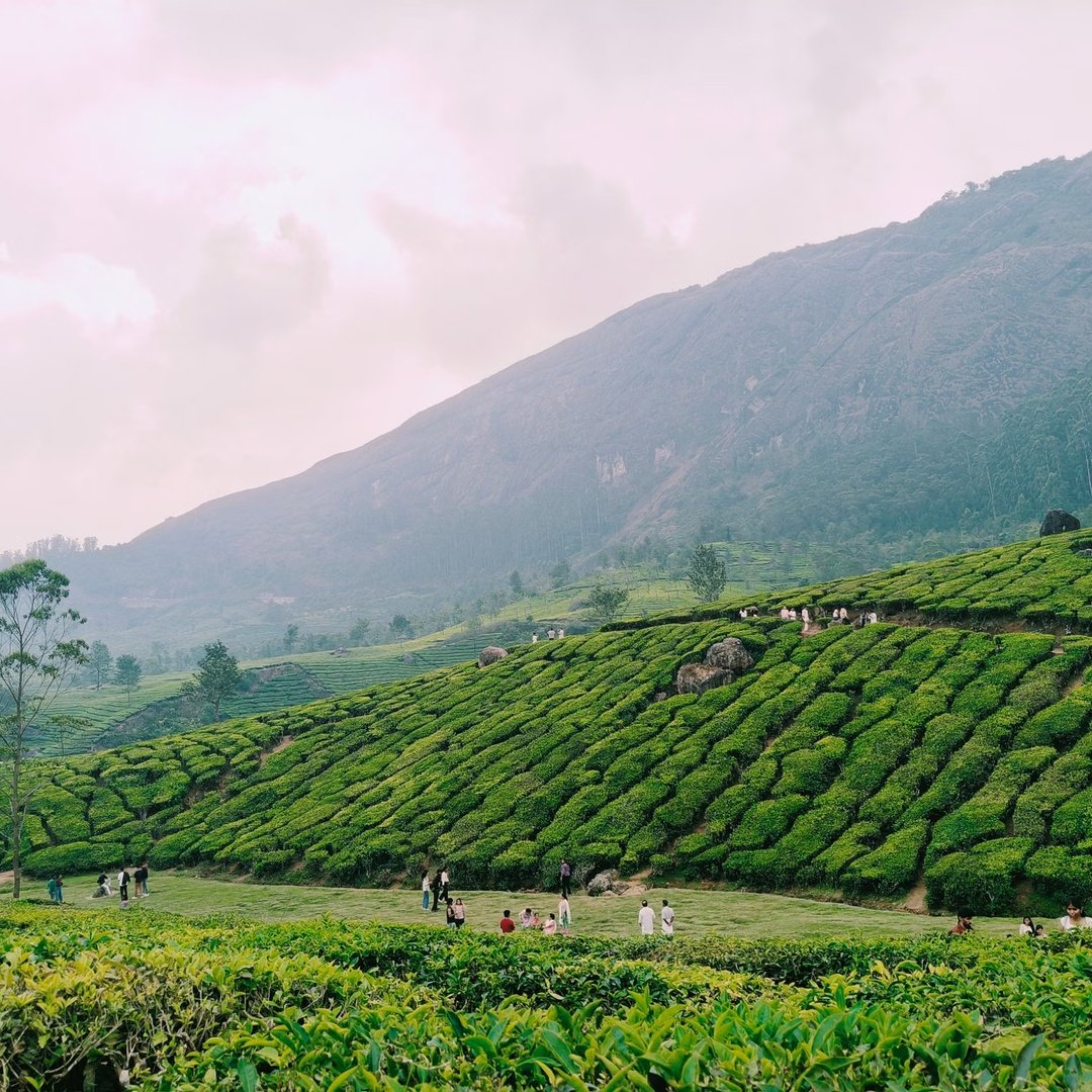 Munnar