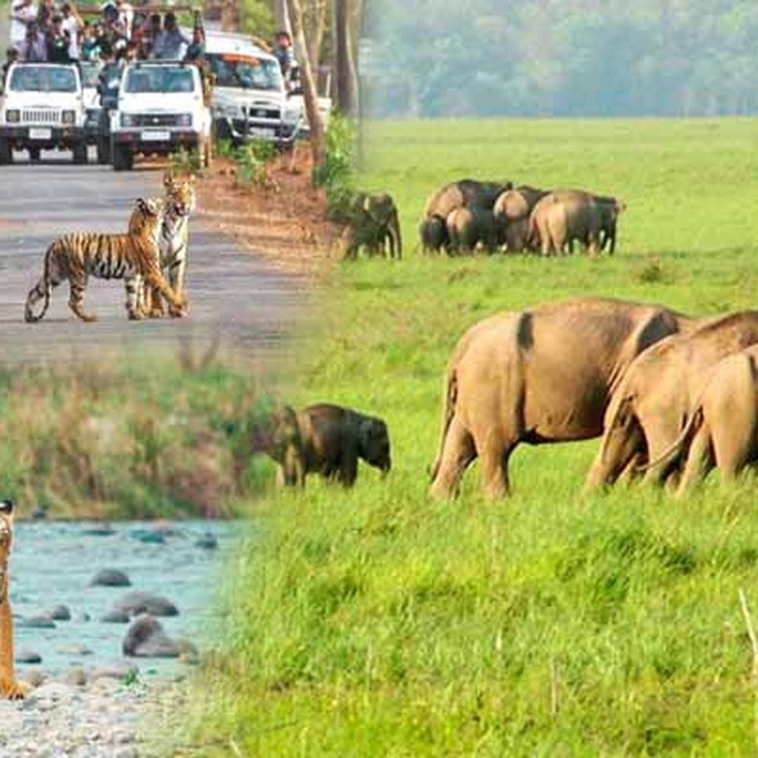 Jim Corbett Park